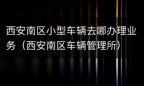 西安南区小型车辆去哪办理业务（西安南区车辆管理所）