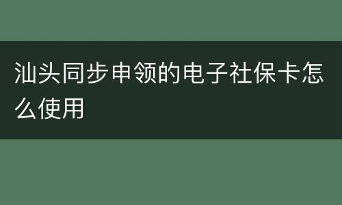 汕头同步申领的电子社保卡怎么使用