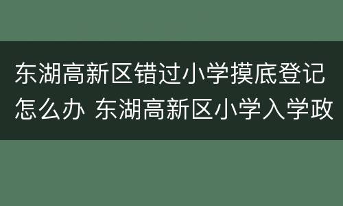东湖高新区错过小学摸底登记怎么办 东湖高新区小学入学政策