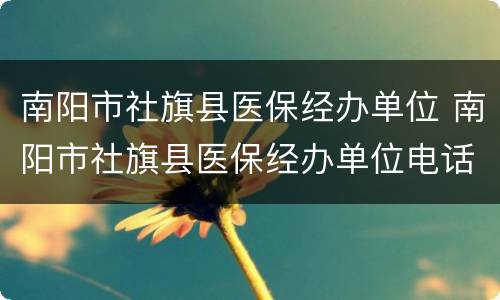 南阳市社旗县医保经办单位 南阳市社旗县医保经办单位电话号码