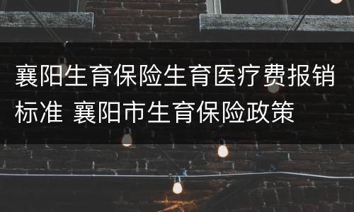 襄阳生育保险生育医疗费报销标准 襄阳市生育保险政策