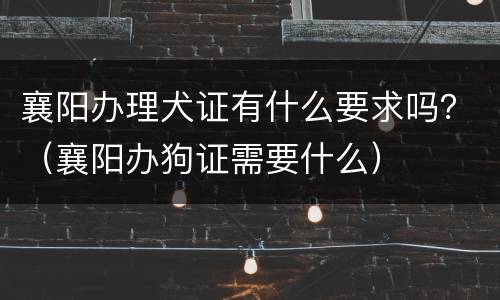 襄阳办理犬证有什么要求吗？（襄阳办狗证需要什么）