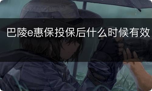 巴陵e惠保投保后什么时候有效