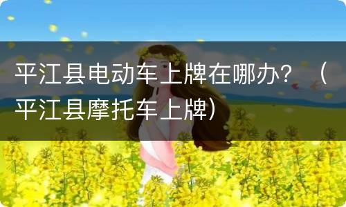 平江县电动车上牌在哪办？（平江县摩托车上牌）