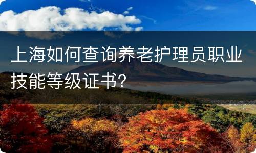 上海如何查询养老护理员职业技能等级证书？