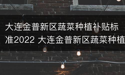 大连金普新区蔬菜种植补贴标准2022 大连金普新区蔬菜种植补贴标准2022年度