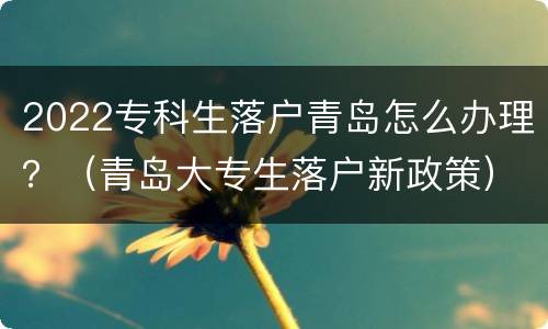 2022专科生落户青岛怎么办理？（青岛大专生落户新政策）