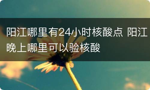 阳江哪里有24小时核酸点 阳江晚上哪里可以验核酸