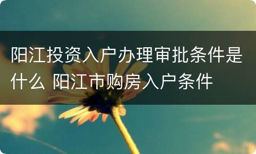 阳江投资入户办理审批条件是什么 阳江市购房入户条件
