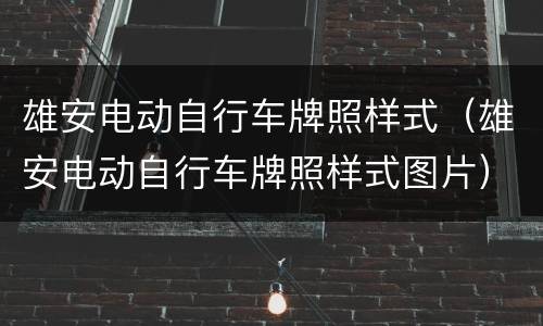 雄安电动自行车牌照样式（雄安电动自行车牌照样式图片）
