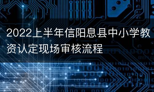 2022上半年信阳息县中小学教资认定现场审核流程