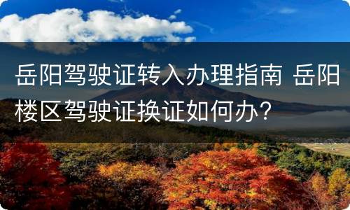 岳阳驾驶证转入办理指南 岳阳楼区驾驶证换证如何办?