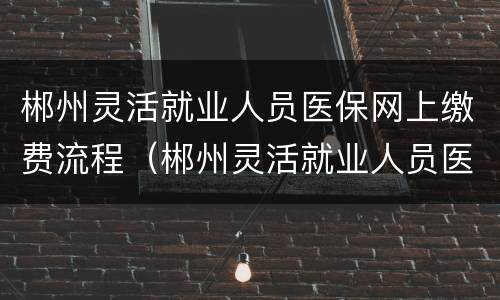 郴州灵活就业人员医保网上缴费流程（郴州灵活就业人员医保网上缴费流程视频）