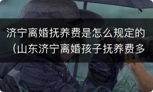 济宁离婚抚养费是怎么规定的（山东济宁离婚孩子抚养费多少）