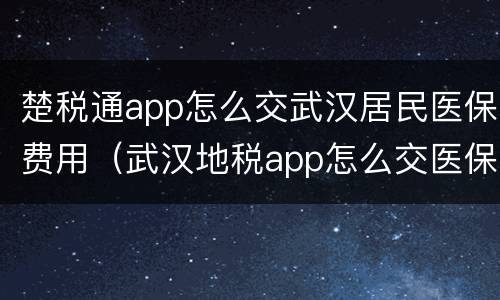 楚税通app怎么交武汉居民医保费用（武汉地税app怎么交医保）