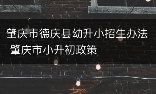 肇庆市德庆县幼升小招生办法 肇庆市小升初政策