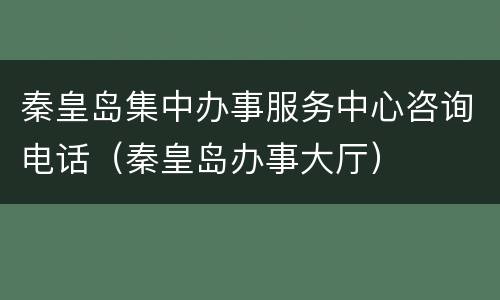 秦皇岛集中办事服务中心咨询电话（秦皇岛办事大厅）