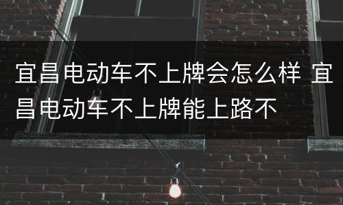 宜昌电动车不上牌会怎么样 宜昌电动车不上牌能上路不