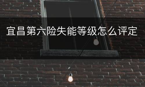 宜昌第六险失能等级怎么评定
