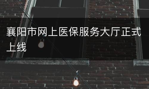襄阳市网上医保服务大厅正式上线
