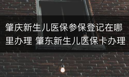 肇庆新生儿医保参保登记在哪里办理 肇东新生儿医保卡办理流程