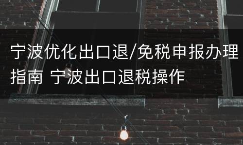 宁波优化出口退/免税申报办理指南 宁波出口退税操作