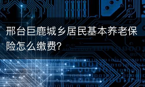 邢台巨鹿城乡居民基本养老保险怎么缴费？