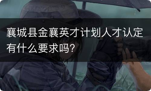 襄城县金襄英才计划人才认定有什么要求吗?