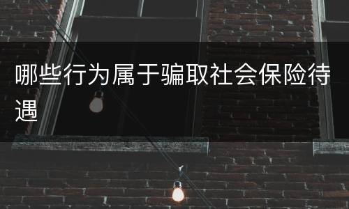 哪些行为属于骗取社会保险待遇