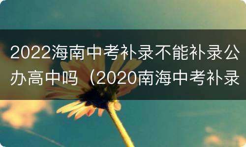 2022海南中考补录不能补录公办高中吗（2020南海中考补录学校有哪些）