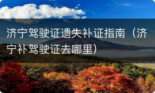 济宁驾驶证遗失补证指南（济宁补驾驶证去哪里）