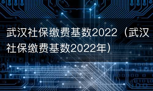 武汉社保缴费基数2022（武汉社保缴费基数2022年）