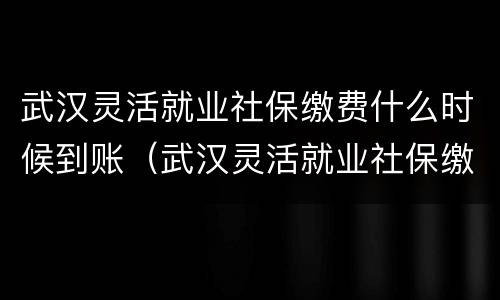 武汉灵活就业社保缴费什么时候到账（武汉灵活就业社保缴费什么时候到账户）