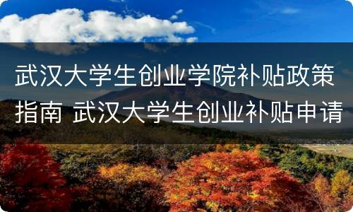 武汉大学生创业学院补贴政策指南 武汉大学生创业补贴申请条件