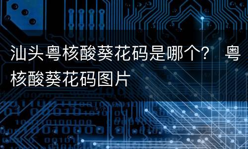 汕头粤核酸葵花码是哪个？ 粤核酸葵花码图片