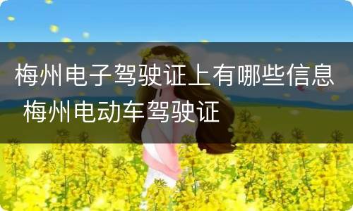 梅州电子驾驶证上有哪些信息 梅州电动车驾驶证