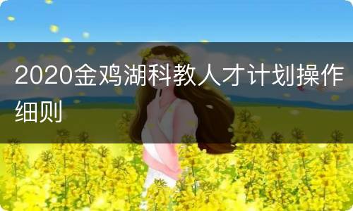 2020金鸡湖科教人才计划操作细则