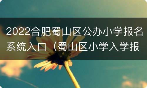 2022合肥蜀山区公办小学报名系统入口（蜀山区小学入学报名2021）