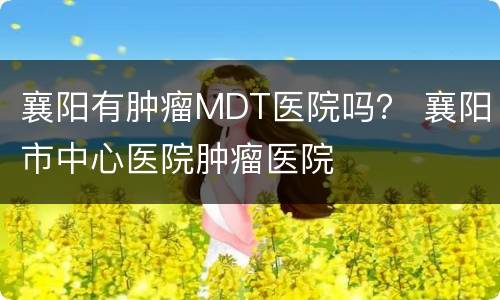 襄阳有肿瘤MDT医院吗？ 襄阳市中心医院肿瘤医院