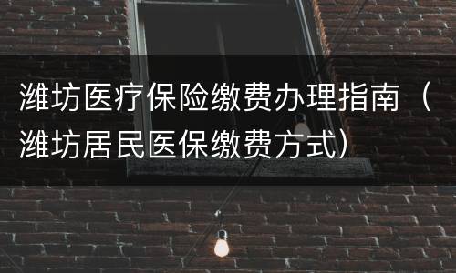 潍坊医疗保险缴费办理指南（潍坊居民医保缴费方式）