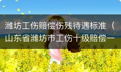 潍坊工伤赔偿伤残待遇标准（山东省潍坊市工伤十级赔偿一览表）