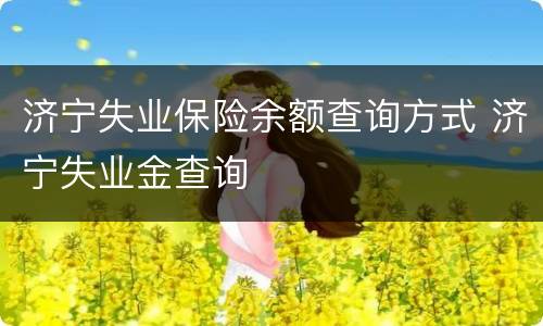 济宁失业保险余额查询方式 济宁失业金查询
