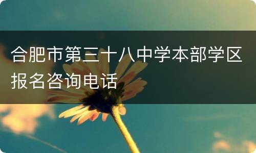 合肥市第三十八中学本部学区报名咨询电话