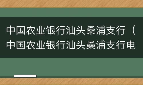 中国农业银行汕头桑浦支行（中国农业银行汕头桑浦支行电话）