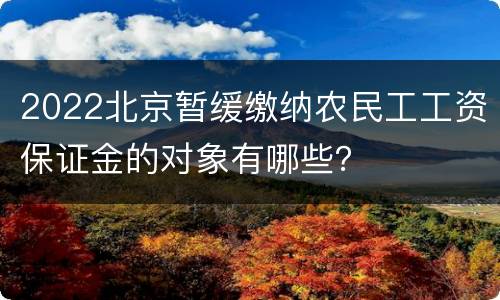 2022北京暂缓缴纳农民工工资保证金的对象有哪些？