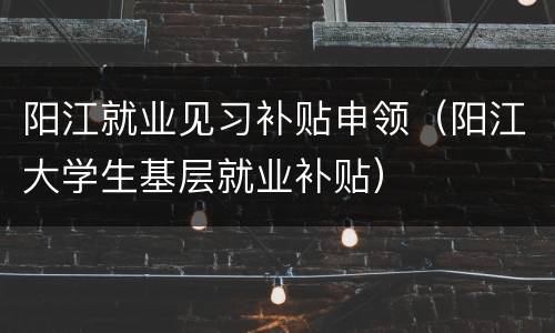 阳江就业见习补贴申领（阳江大学生基层就业补贴）