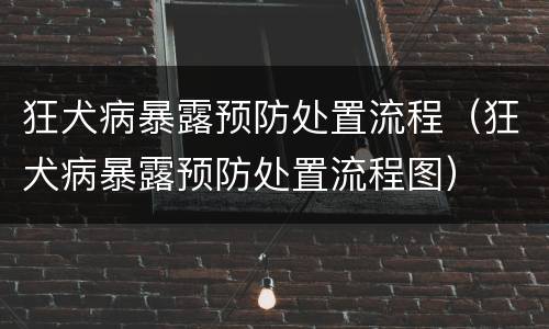 狂犬病暴露预防处置流程（狂犬病暴露预防处置流程图）