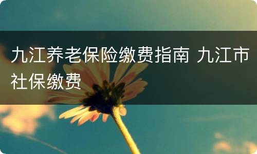 九江养老保险缴费指南 九江市社保缴费