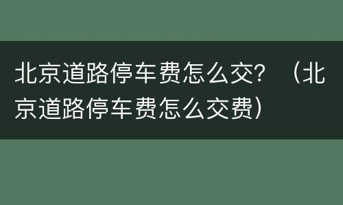 北京道路停车费怎么交？（北京道路停车费怎么交费）