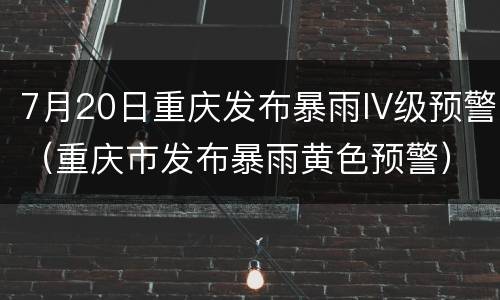 7月20日重庆发布暴雨IV级预警（重庆市发布暴雨黄色预警）